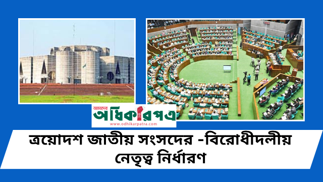 বিরোধীদলীয় নেতা ডা. শফিকুর রহমান, চিফ হুইপ নাহিদ ইসলাম: সিদ্ধান্ত চূড়ান্ত